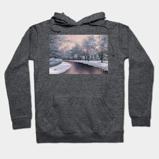 WINTER SUNLIGHT Hoodie